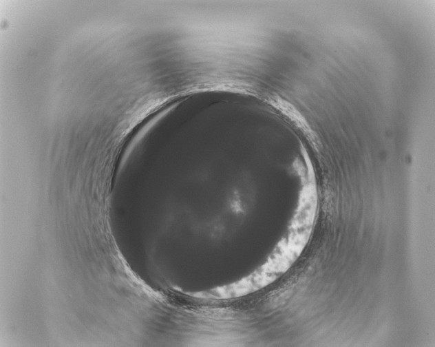 X0000088590577200706221343