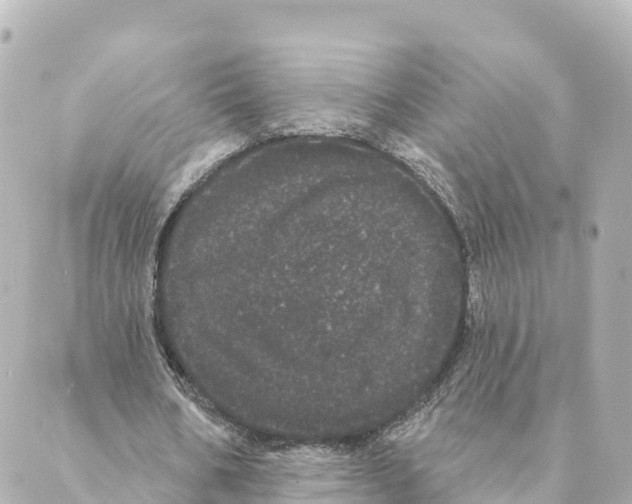 X0000088590578200706221343