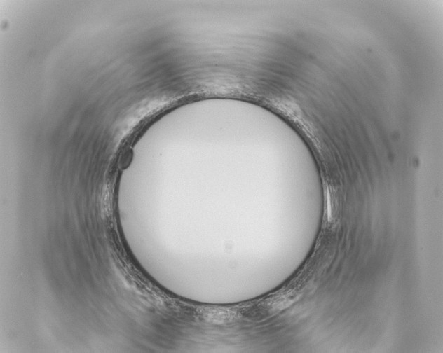 X0000088590579200706221343