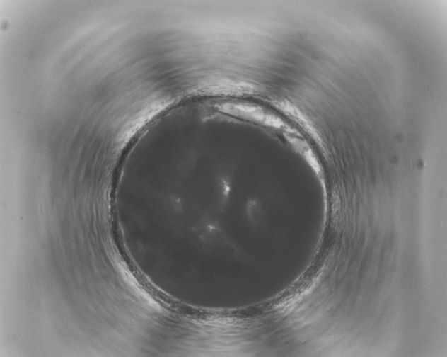 X0000088590581200706221343