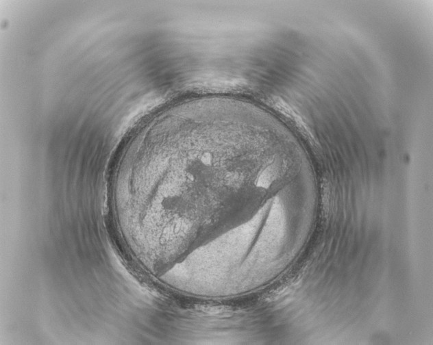 X0000088590582200706221343