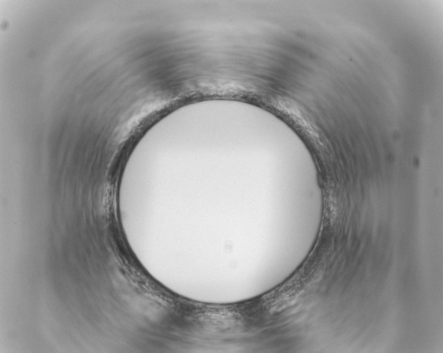 X0000088590583200706221343