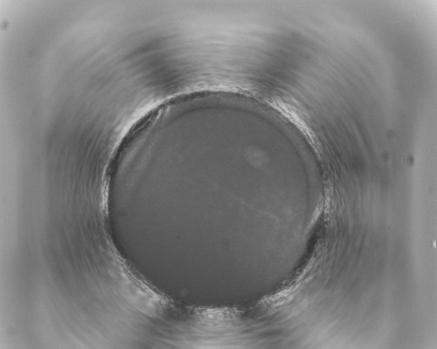 X0000088590584200706221343