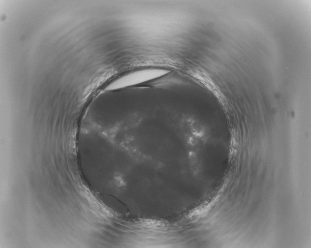 X0000088590585200706221343