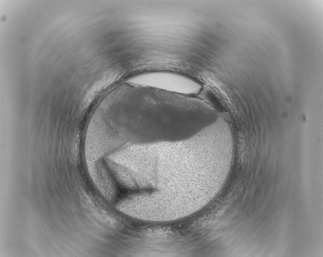 X0000088590586200706221343