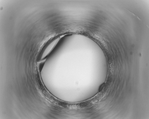 X0000088590587200706221343