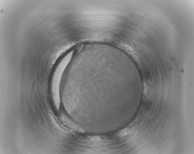 X0000088590588200706221343