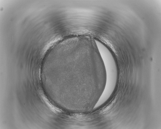 X0000088590589200706221343