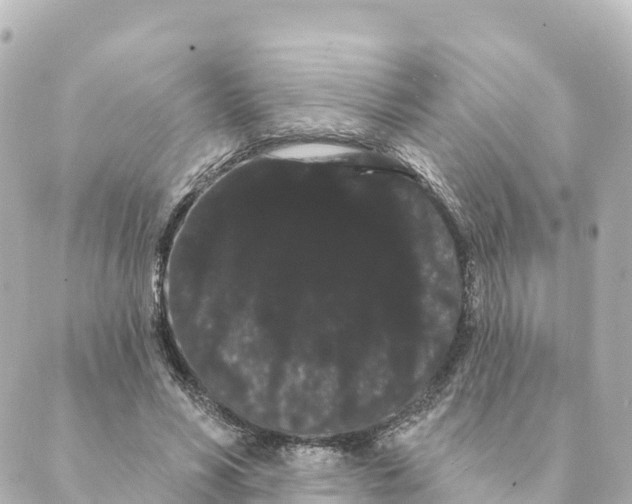 X0000088590590200706221343