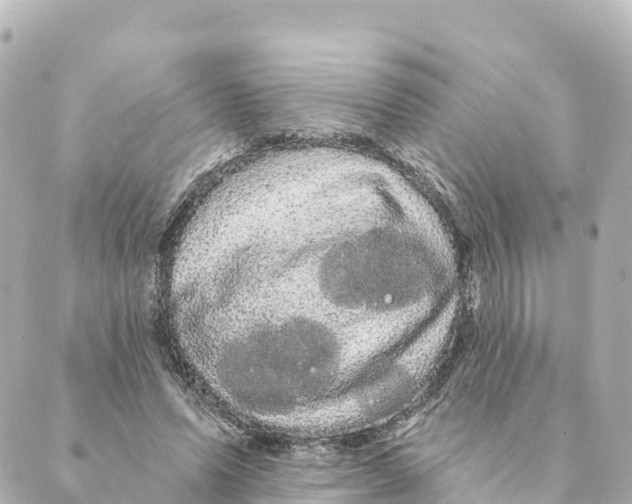 X0000088590591200706221343