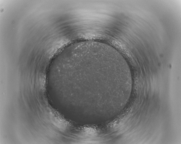 X0000088590592200706221343