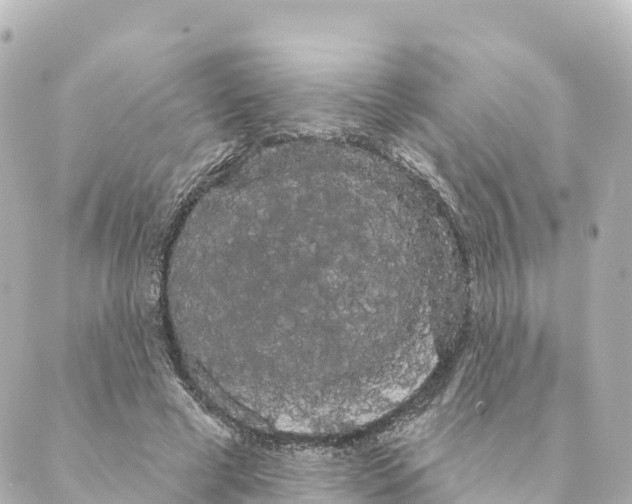 X0000088590593200706221343