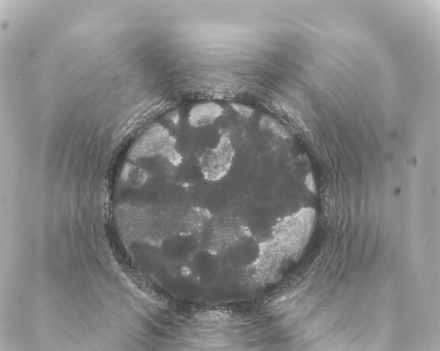 X0000088590594200706221343