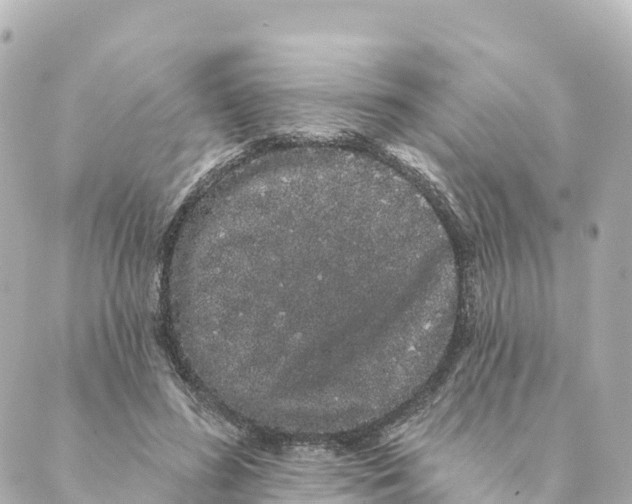 X0000088590596200706221343