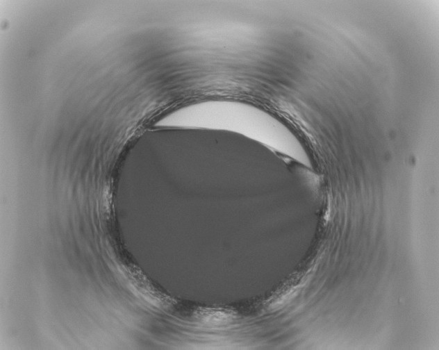 X0000088590597200706221343