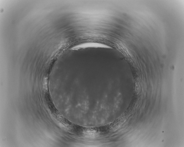 X0000088590598200706221343