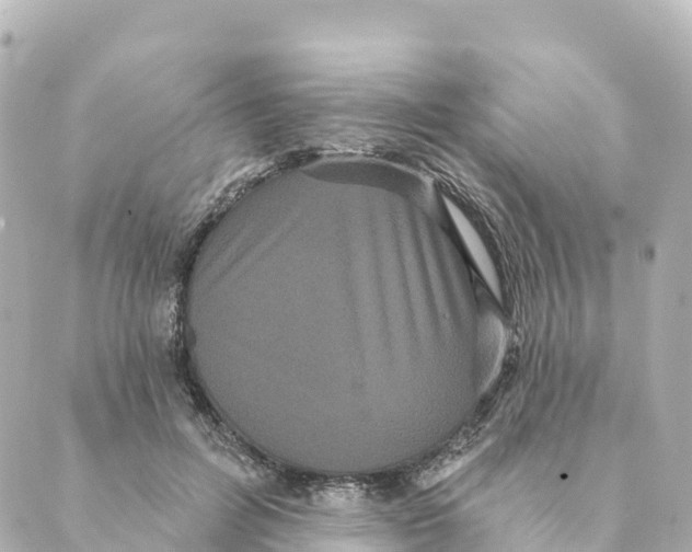 X0000088590600200706221343