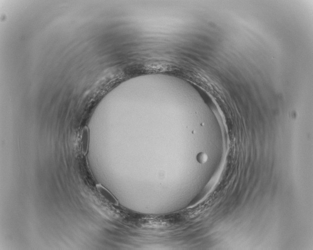 X0000088590601200706221343