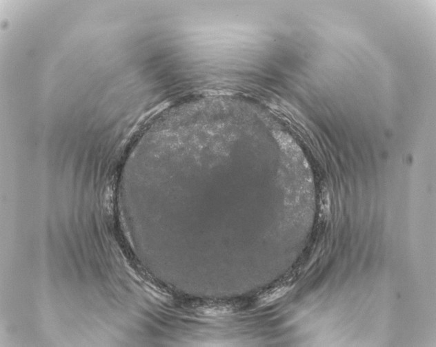 X0000088590604200706221343