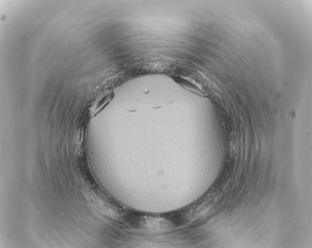 X0000088590605200706221343