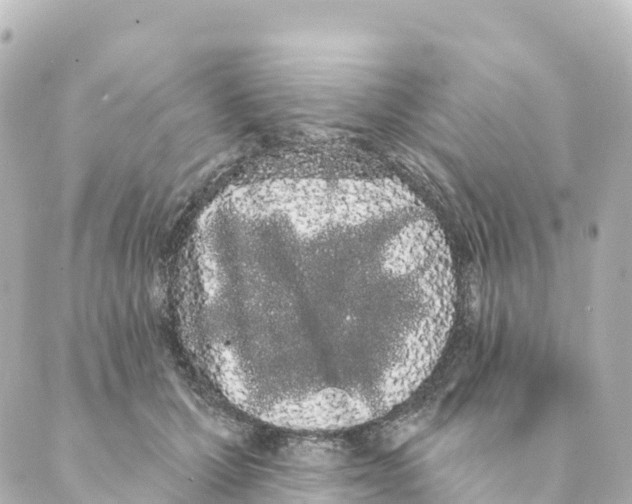 X0000088590607200706221343