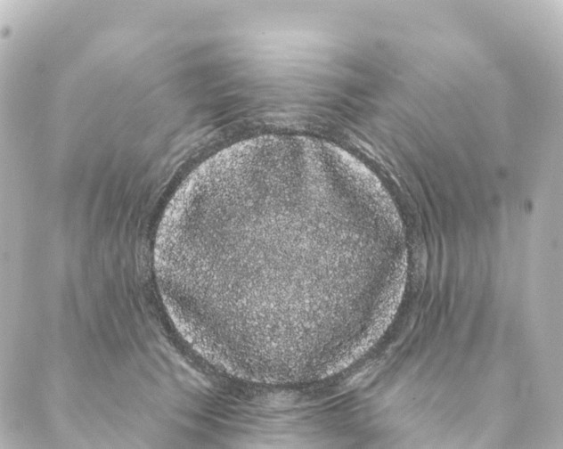 X0000088590609200706221343