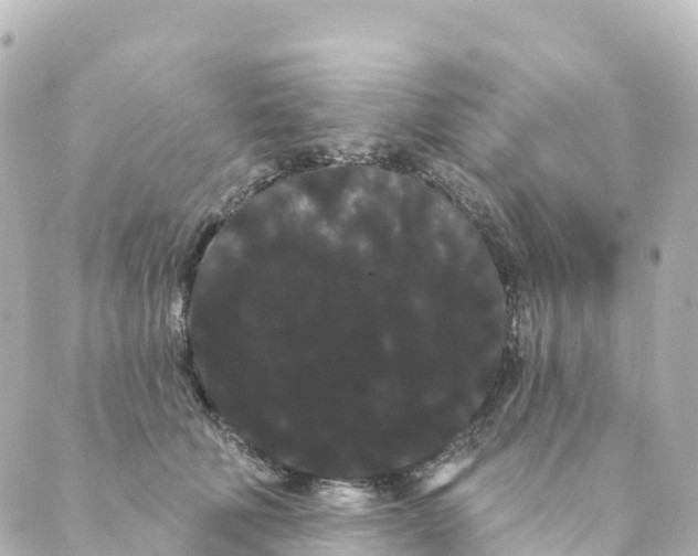 X0000088590610200706221343