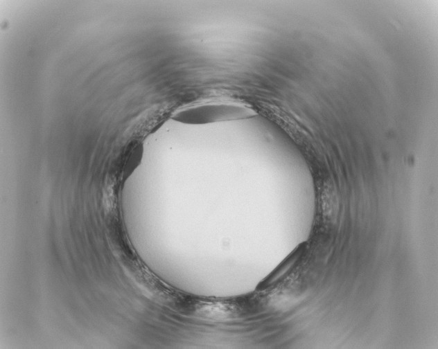 X0000088590611200706221343