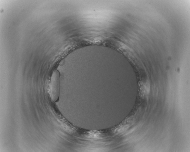 X0000088590612200706221343