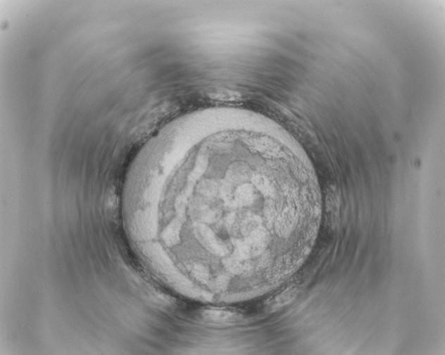 X0000088590614200706221343