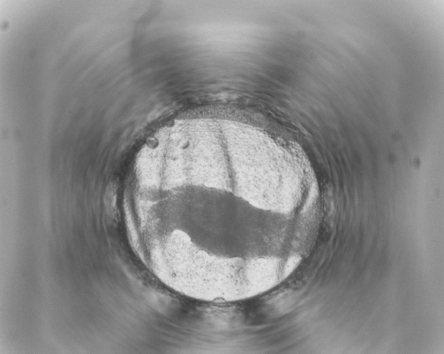 X0000088590615200706221343