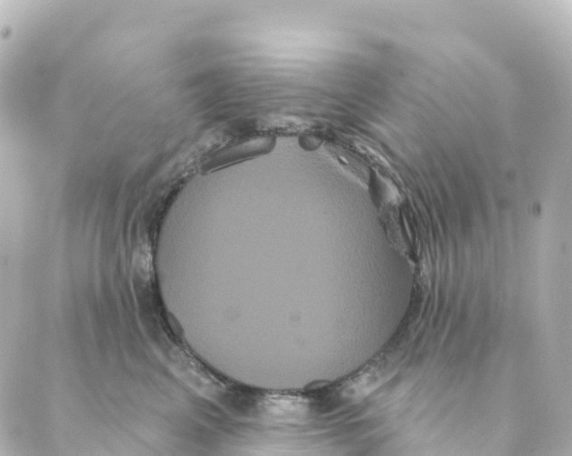 X0000088590617200706221342