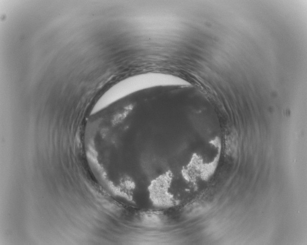 X0000088590618200706221342