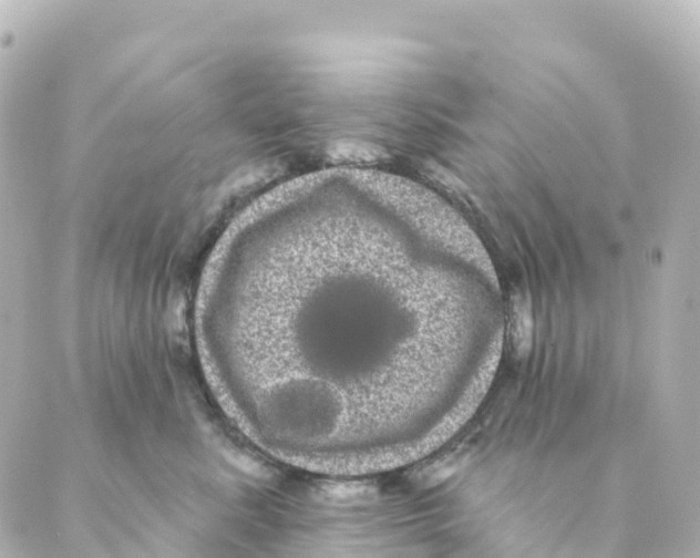 X0000088590619200706221342