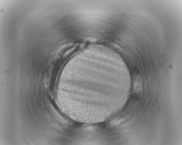 X0000088590620200706221342