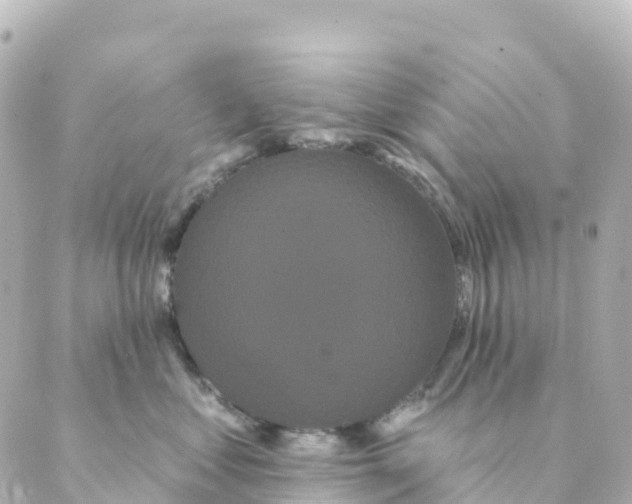 X0000088590621200706221342