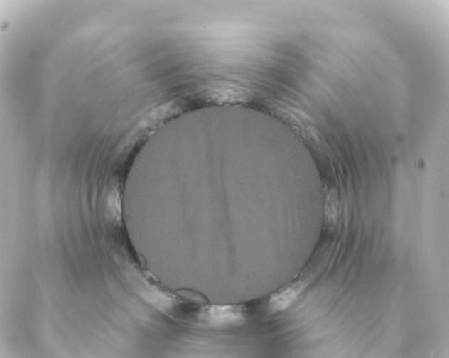 X0000088590622200706221342