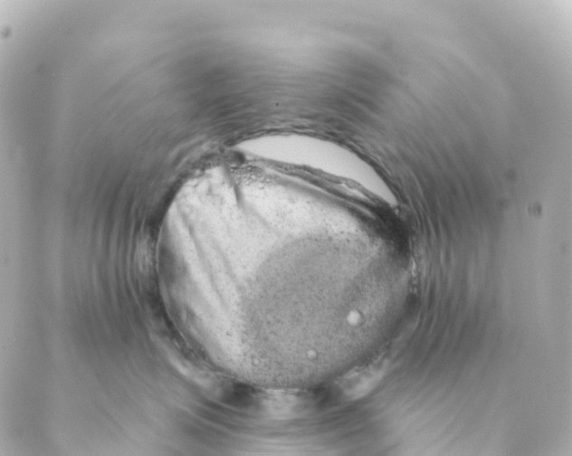 X0000088590623200706221342