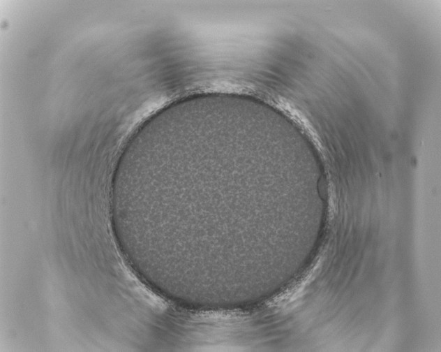 X0000088590625200706221342