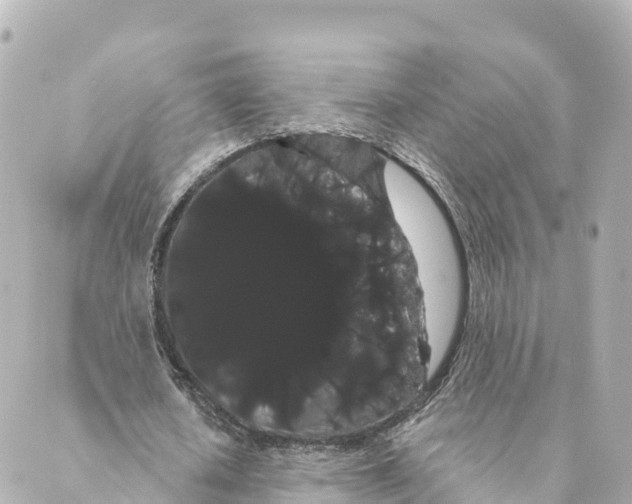 X0000088590626200706221342