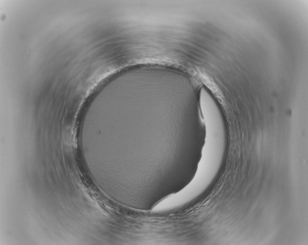 X0000088590628200706221342