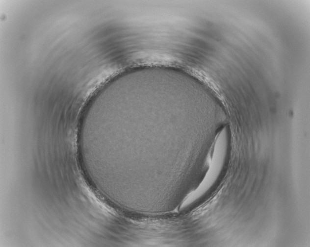 X0000088590629200706221342