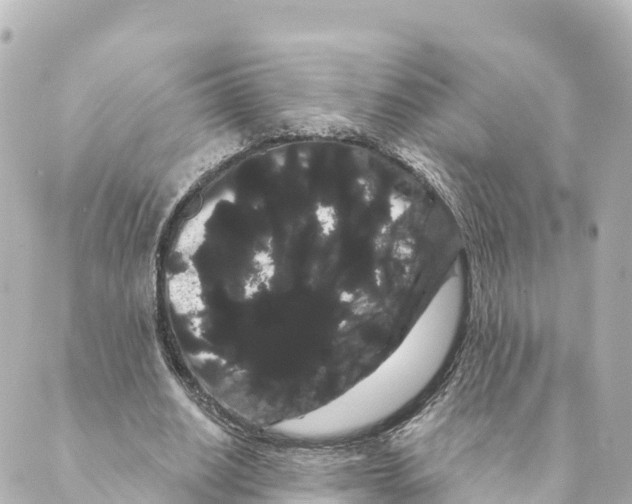 X0000088590630200706221342