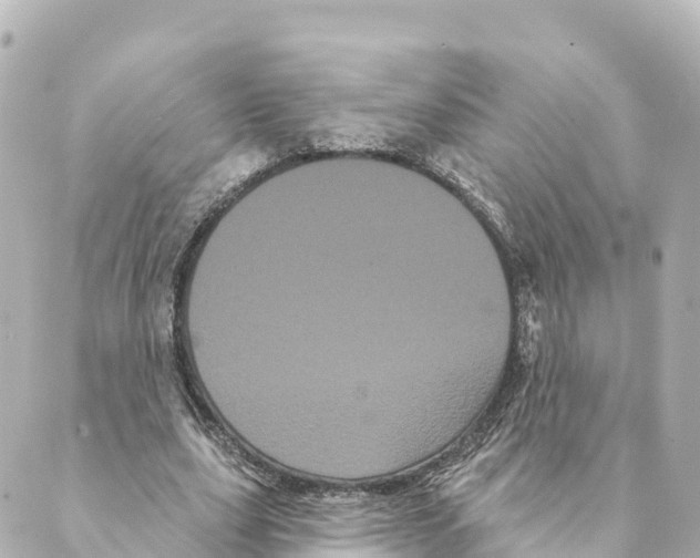 X0000088590631200706221342