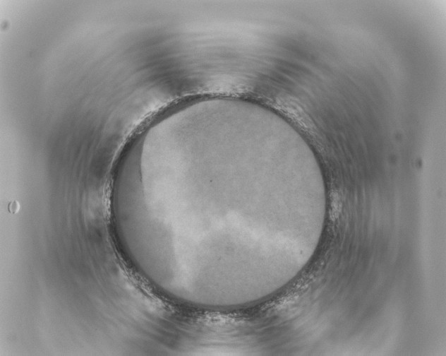 X0000088590632200706221342