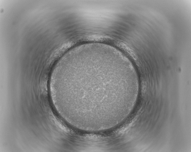 X0000088590633200706221342