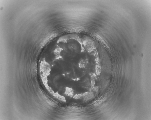 X0000088590634200706221342