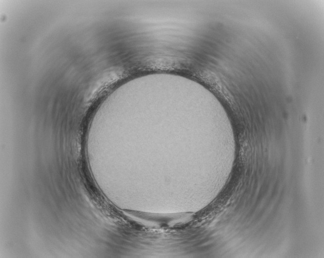 X0000088590635200706221342