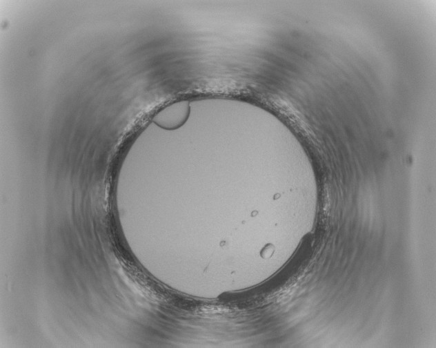 X0000088590636200706221342