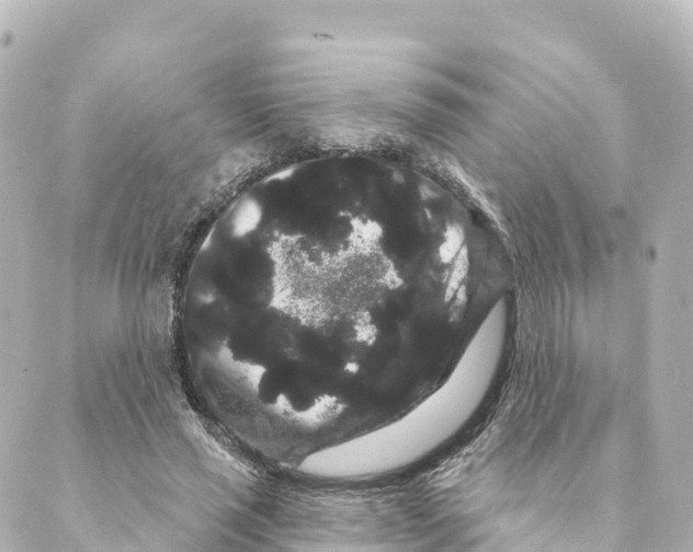 X0000088590637200706221342